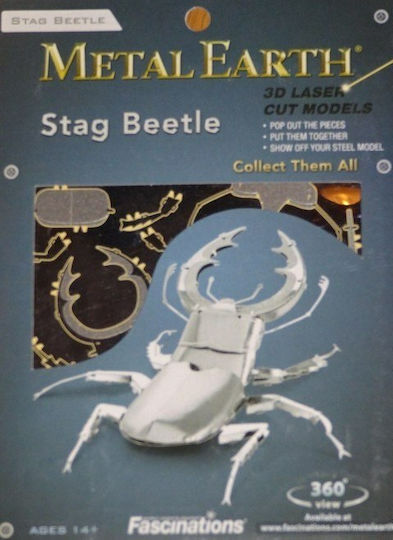 Fascinations Μεταλλική Φιγούρα Μοντελισμού Stag Beetle 7.3x5.8x1.7εκ.