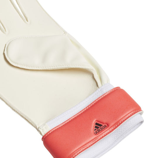 adidas Predator 20 Training Torwarthandschuhe Erwachsene & Kinder Mehrfarbig