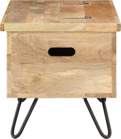 vidaXL Dekorative Truhe Hölzernes Beige 90x40x45cm