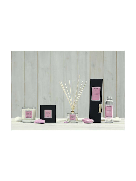 Cereria Molla Diffuser με Άρωμα Nordic Angelica 15503 100ml