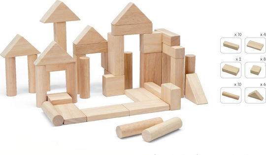 Plan Toys Τουβλάκια Ξύλινα για 1.5+ Ετών 40τμχ