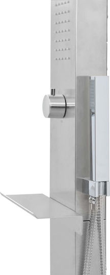 vidaXL Silver Pool Shower