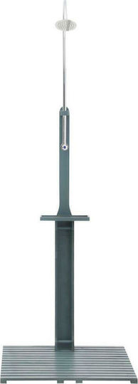 vidaXL Pool Shower Made of Natural Wood 221x75cm Silver
