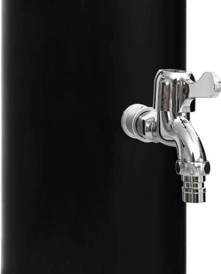 vidaXL Solar Pool Shower 220x16x16cm Black