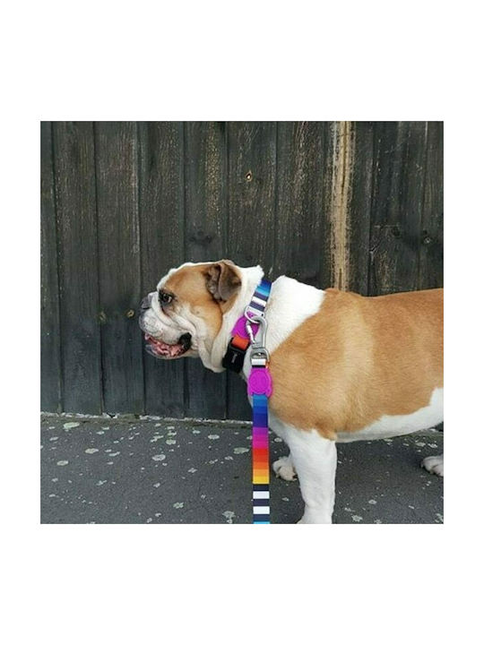 Zee-Dog Prisma Zee-Dog Prisma