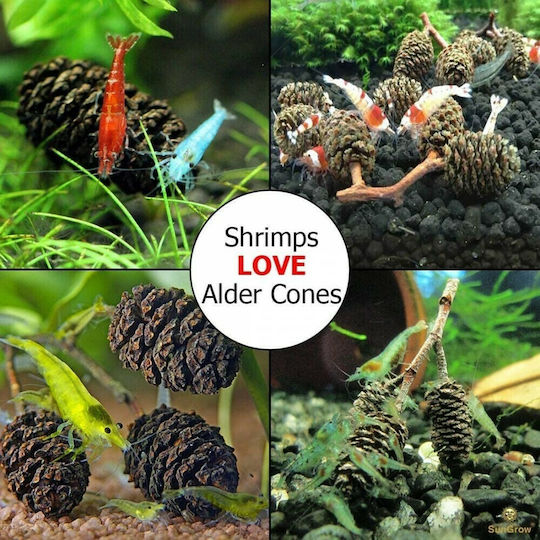 Sera Alder Cones Aquarium Wasserbehandlung zum Umweltschutz 1000ml