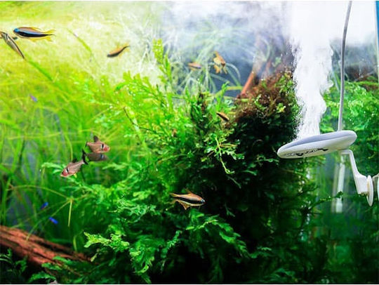 Twinstar Iberica Aquarium Technical Equipment Nano Plus