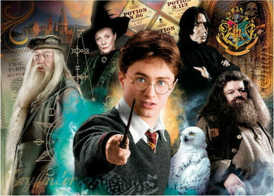 Harry Potter at Hogwarts Puzzle 2D 500 Bucăți