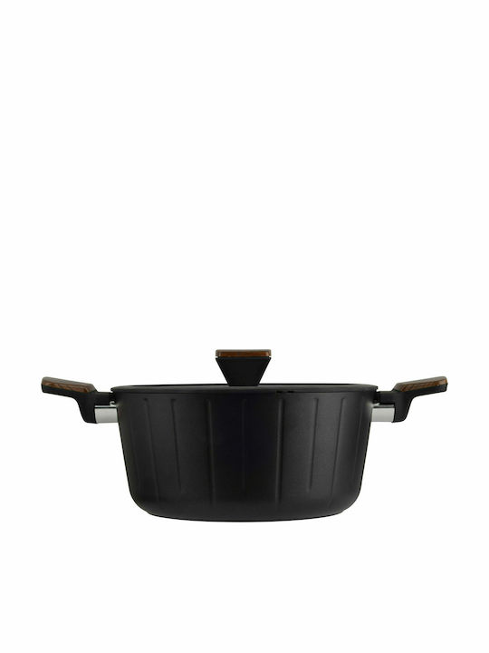 Viosarp Stockpot 24cm