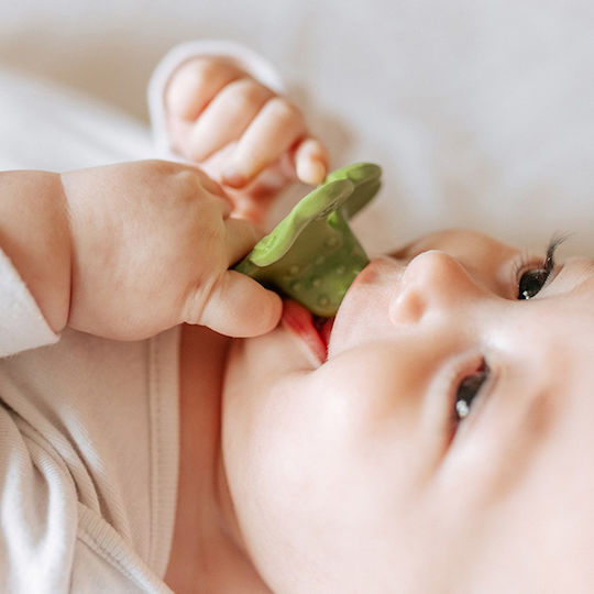 Oli&Carol Eli the Clover Teething Ring Rubber for 3 Months+