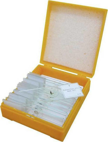Levenhuk Lab Microscope Accessories Ready Samples - Slides N10 NG 29279