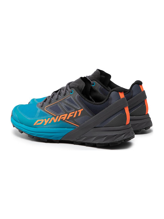 Alpine Sport Shoes Trail Running Multicolour