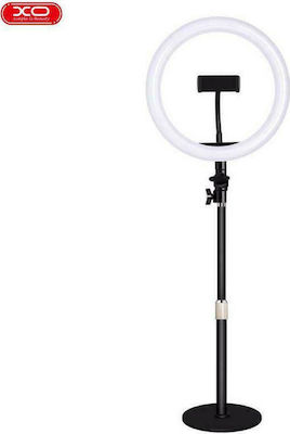 XO L03 LED Ring Light 26cm 3200 - 5600K with Desktop Stand/Mount Stand and Mobile Holder Black