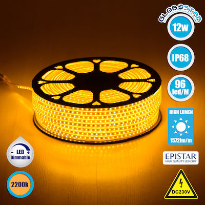 GloboStar Waterproof LED Strip Power Supply 220V with Warm White Light Length 1m and 96 LEDs per Meter SMD2835