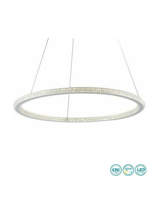 Fan Europe Pendant Light LED with Warm White Light White