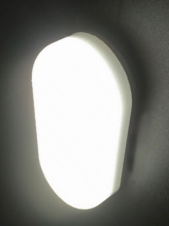 Aca Wall-Mounted Outdoor Turtle Light LED IP66 12W with Cool White Light