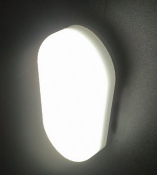 Aca Wall-Mounted Outdoor Turtle Light LED IP66 12W with Cool White Light