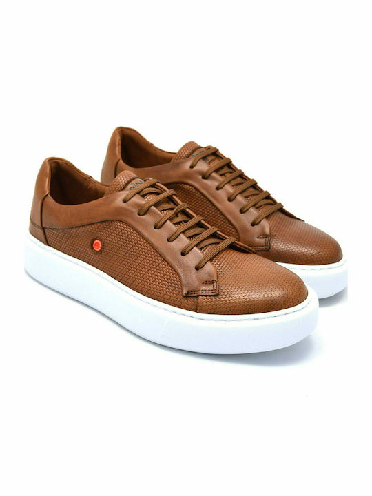 Robinson Sneakers Tabac maro