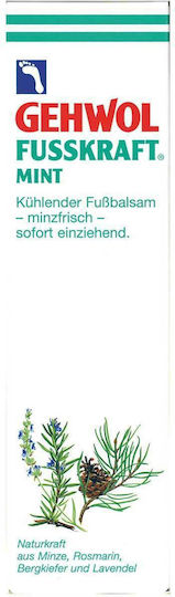 Gehwol Fusskraft Mint Balm For Tired Feet 125ml