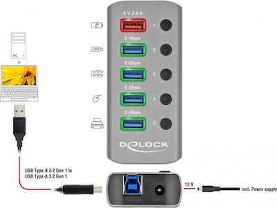 DeLock USB 3.2 Hub 5 Θυρών με σύνδεση USB-A & Θύρα Φόρτισης και Εξωτερική Παροχή Ρεύματος Γκρι