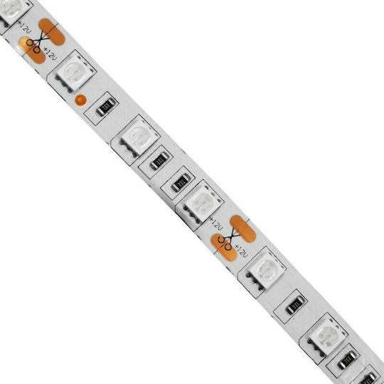GloboStar Ταινία LED 12V Μπλε Φως 5m Τύπου SMD5050
