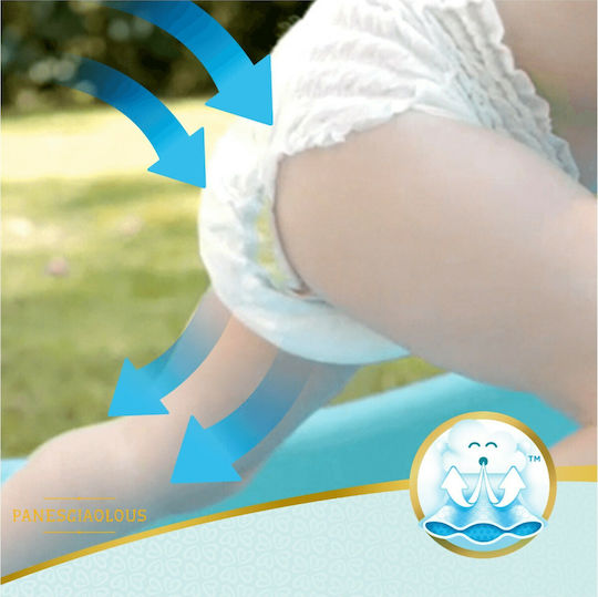 Pampers Diaper Pants Premium Care No. 6 for 15+kg 93pcs