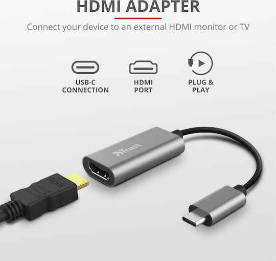 Trust Dalyx Convertor USB-C masculin în HDMI feminin Gri 1buc