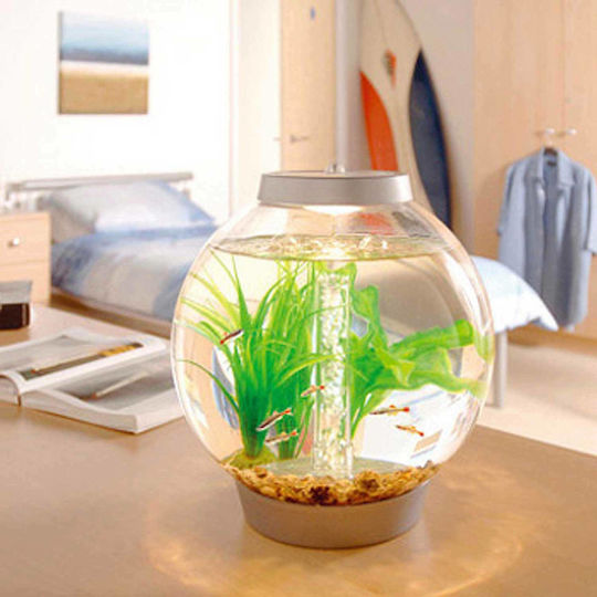 Oase biOrb Classic 15 MCR Fish Aquarium Capacity 15L with Lighting 32x32cm Gray