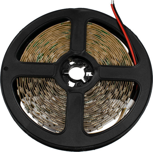 GloboStar LED Лента 24V Неутрално бяло Светлина 5м Тип SMD5050