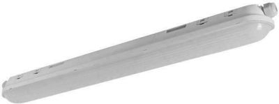 Geyer Outdoor Lighting Batten T8 with 2 LED Lamps 40W 120cm