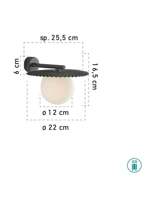 Fan Europe Chaplin-AP Modern Lamp Wall with Socket G9 Black 22x22cm
