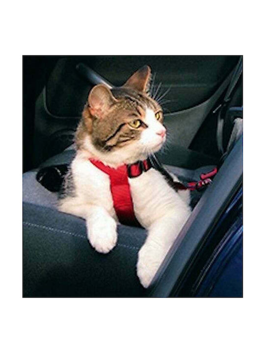 Trixie Cat Harness with Guide Ζώνη Ασφαλείας Κόκκινο 20-50cm Red 15mm x