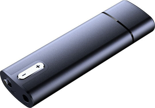 Surveillance Bug Silver Capacity 8GB