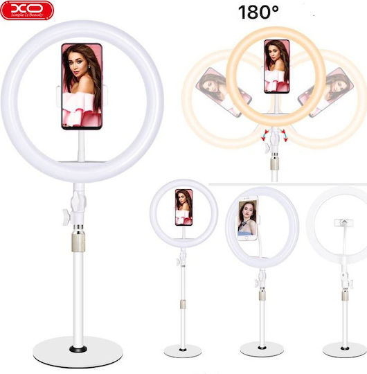 XO XO L03 LED Ринг Лампа 26см 3200 - 5600K с Пръстенова Светлина и Държач за Телефон Бяла