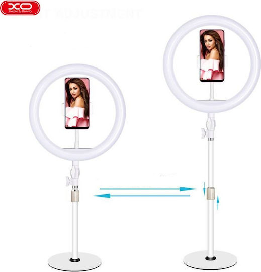 XO XO L03 LED Ринг Лампа 26см 3200 - 5600K с Пръстенова Светлина и Държач за Телефон Бяла