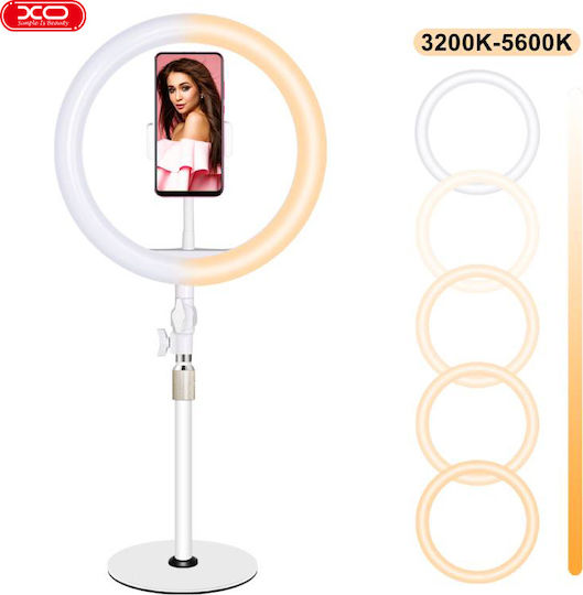 XO XO L03 LED Ринг Лампа 26см 3200 - 5600K с Пръстенова Светлина и Държач за Телефон Бяла