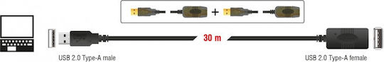 DeLock USB 2.0 Cable USB-A female - USB-A female Μαύρο 30m 83453