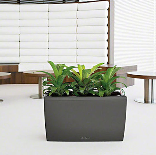 Lechuza Cararo Charcoal Metallic Self-watering Planter Box Plastic Gray 75x30x42.5cm.