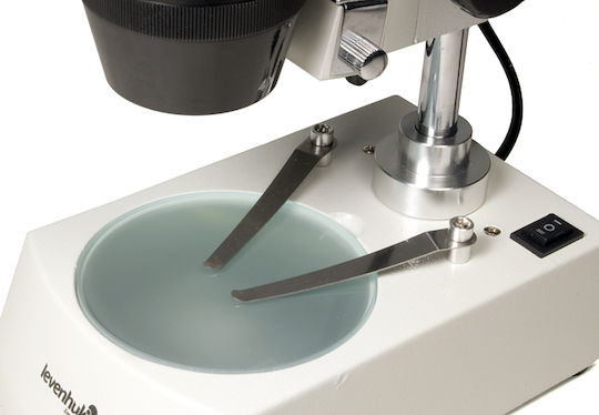 Levenhuk 3ST Stereo Educational Binocular Microscope 20-40x