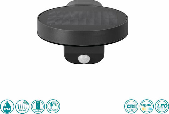 Trio Lighting Posadas Wall Mounted Solar Light 4.5W 290lm Warm White 3000K with Motion Sensor IP44 15cmx12cmcm