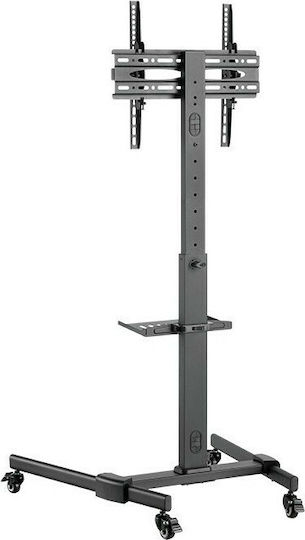 LogiLink BP0121 BP0121 Suport TV pardoseală până la 55" și 35kg