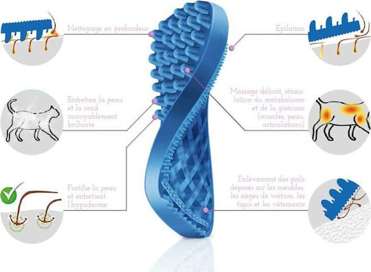pet+me Brush Small for Short-Haired Dogs for Coat Cleaning Blue