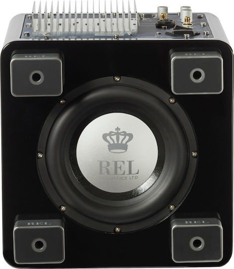 Rel Acoustics T/5x Kabellos Aktiv Subwoofer mit Lautsprecher 8" 125W Schwarz glänzend