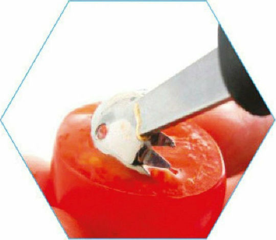 GTSA Kitchen Tool 15.5cm Tomato Corer