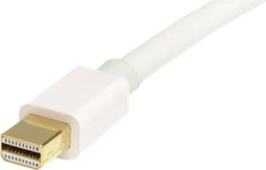 StarTech Cable DisplayPort male - mini DisplayPort male 2m Λευκό (MDP2DPMM2MW)