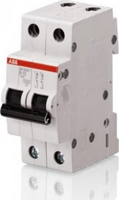 Abb 2-Poles Automatic Circuit Breaker 10A 10kA Καμπύλης C 24796