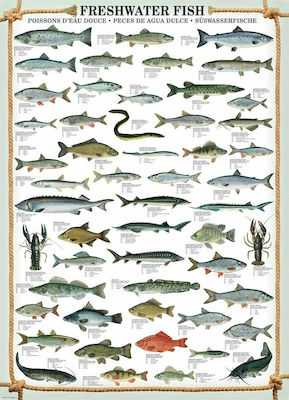 Freshwater Fish Puzzle 2D 1000 Pieces