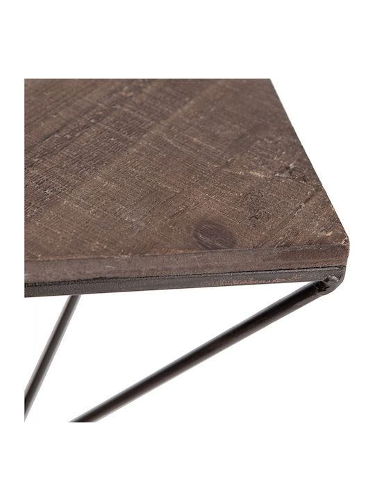 Raft Perete Nuc / Negru 33x13x30cm