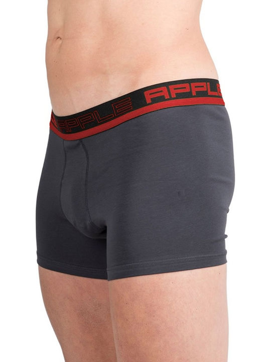 Men's Boxer Charcoal / Red