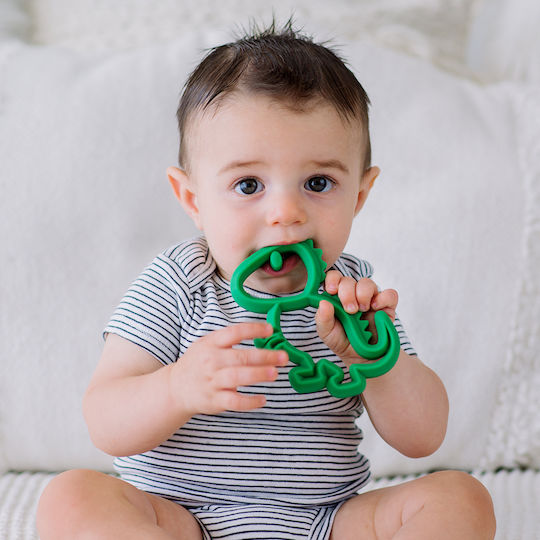 Itzy Ritzy Dinosaur Teether from Silicone for 3 Months+